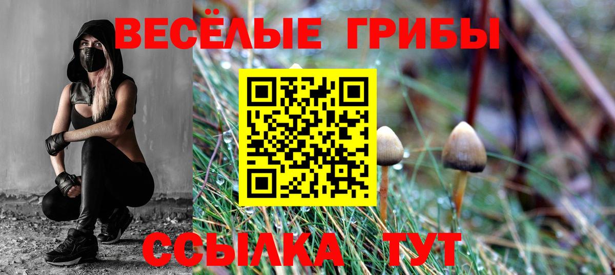 Галлюциногенные грибы Psilocybine cubensis Еманжелинск