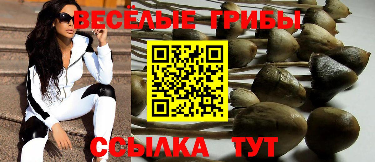 Еманжелинск  как найти   Вход с VPN  Псилоцибиновые грибы Cubensis 